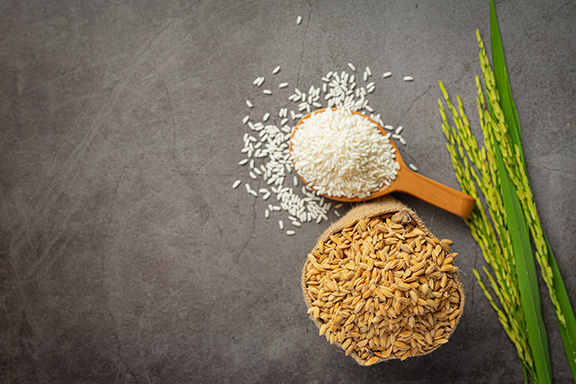 Rice